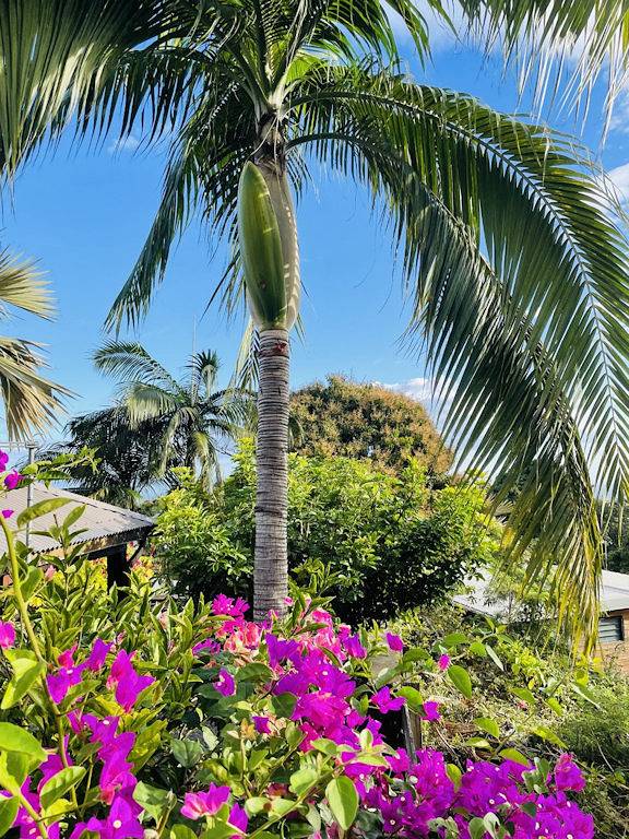 Instant Kréol - vue Océan in Saint-Louis (Réunion), Île de la Réunion