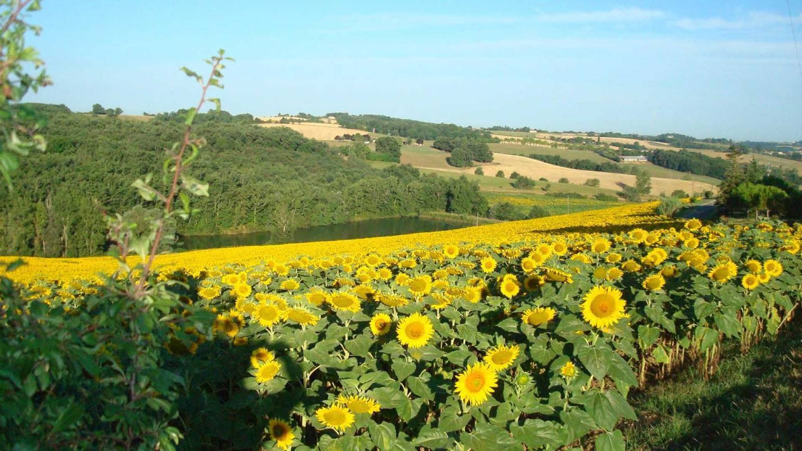 Les Barreaux in Montvalen, Albi region