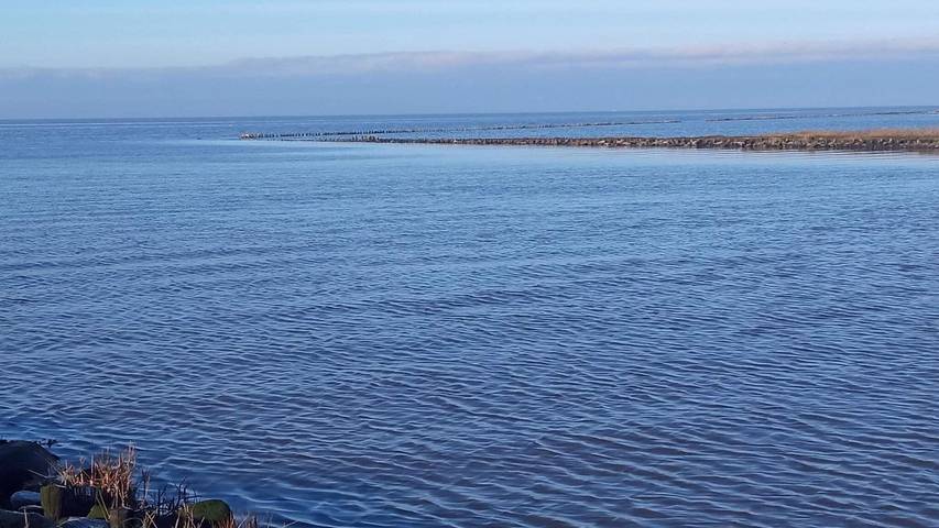 Ferienhaus für 5 Personen, mit Garten in Højer - 4