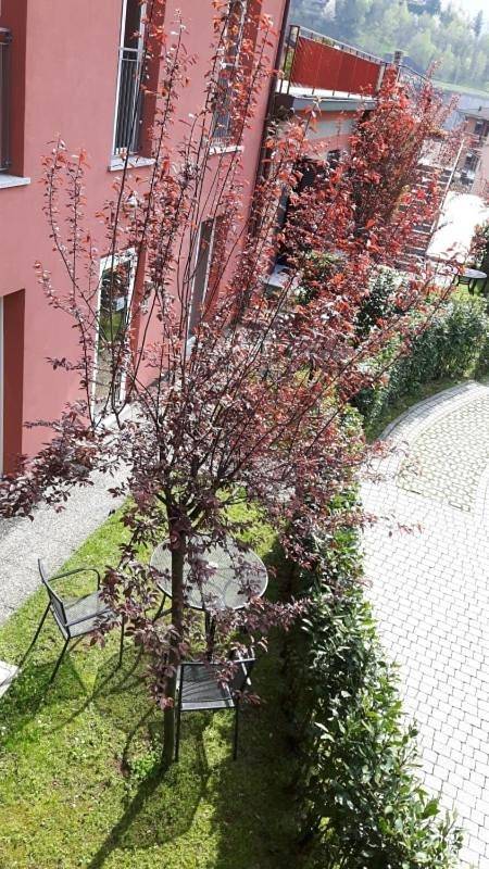 Gîte pour 2 personnes, avec jardin et terrasse, animaux acceptés à Maslianico