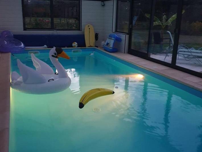 Location de vacances pour 4 personnes, avec terrasse et piscine à Louplande - 2