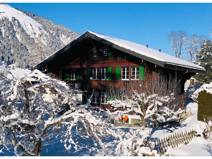 Ganze Wohnung, Träumli in Lenk im Simmental, Lenk