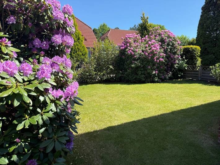 Ferienhaus Seerrobbe in Berumbur, Norden und Umgebung