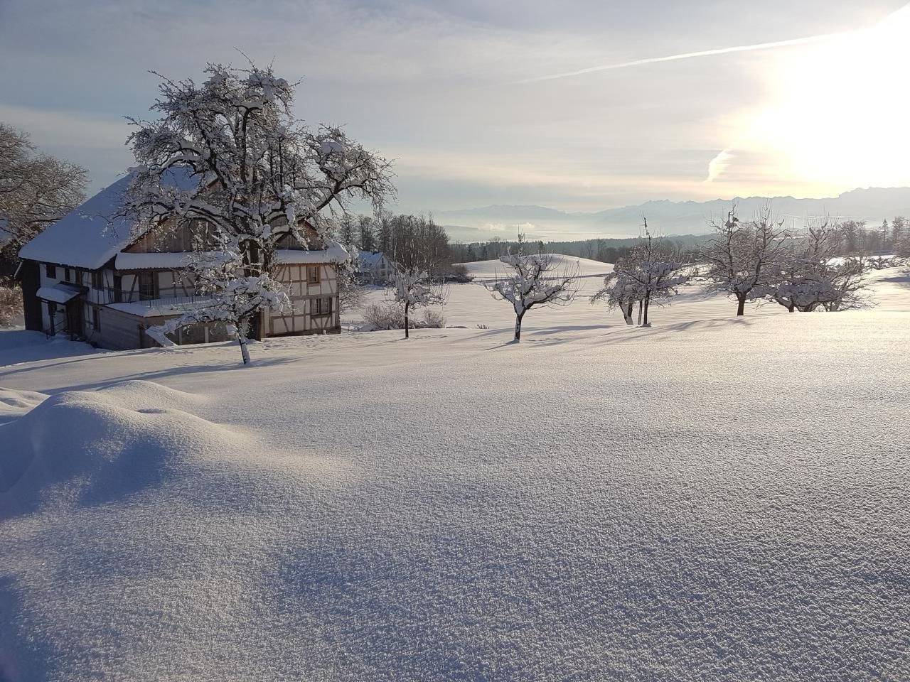 Historisches Riegel-Doppelbauernhaus in Zurych (kanton)