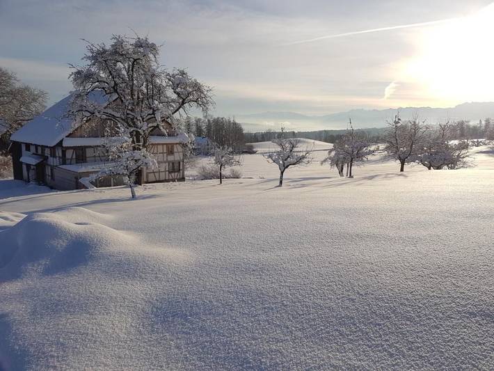 Ferienhaus für 6 Personen, mit Garten - 1