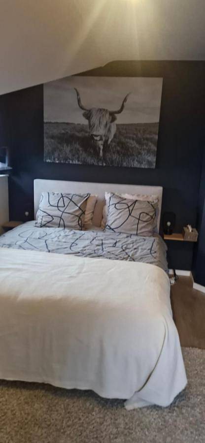 Location de vacances pour 6 personnes, avec Terrasse et Jardin ainsi que Piscine et Vue dans Bellevaux-Ligneuville - 4