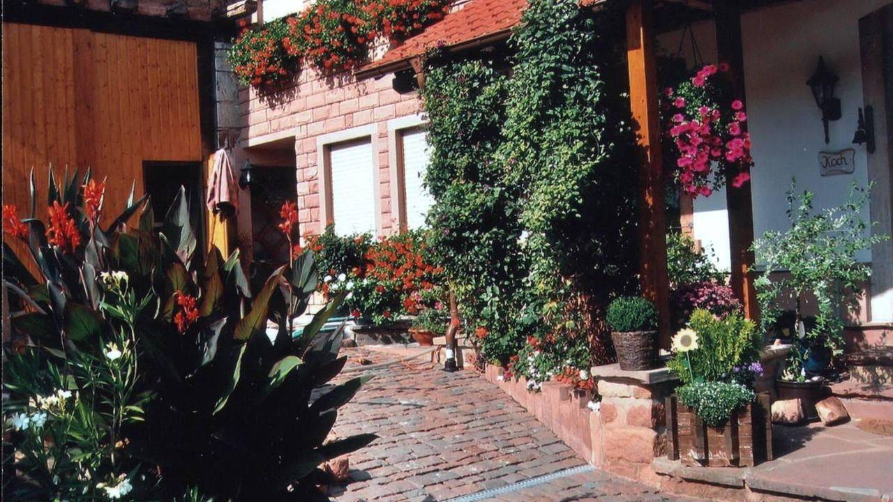Ganze Ferienwohnung, Ferienwohnung für 2 Personen (54 m²) in Sippersfeld in Sippersfeld, Donnersbergkreis