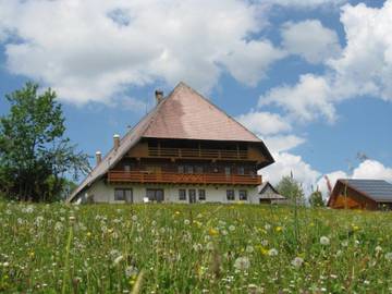 Bauernhof für 4 Personen in Schonach, Hochschwarzwald, Bild 3