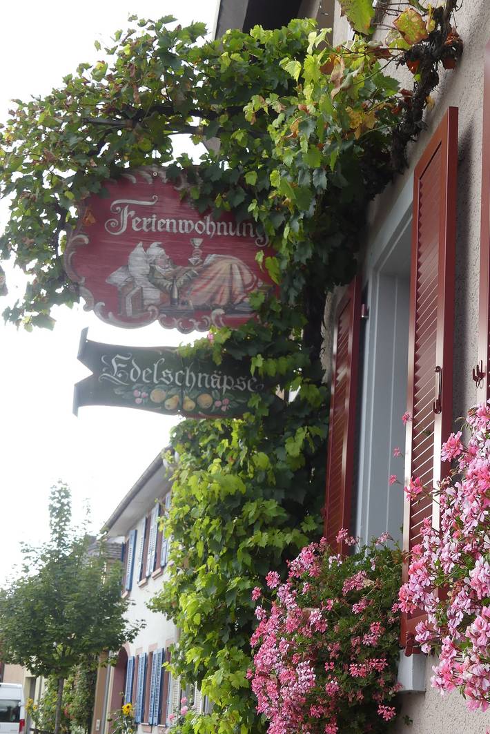 Ganze Ferienwohnung, Winzerhof Hohwieler - Abtsweingarten, 30 qm, 1-2 Personen in Ihringen am Kaiserstuhl, Kaiserstuhl