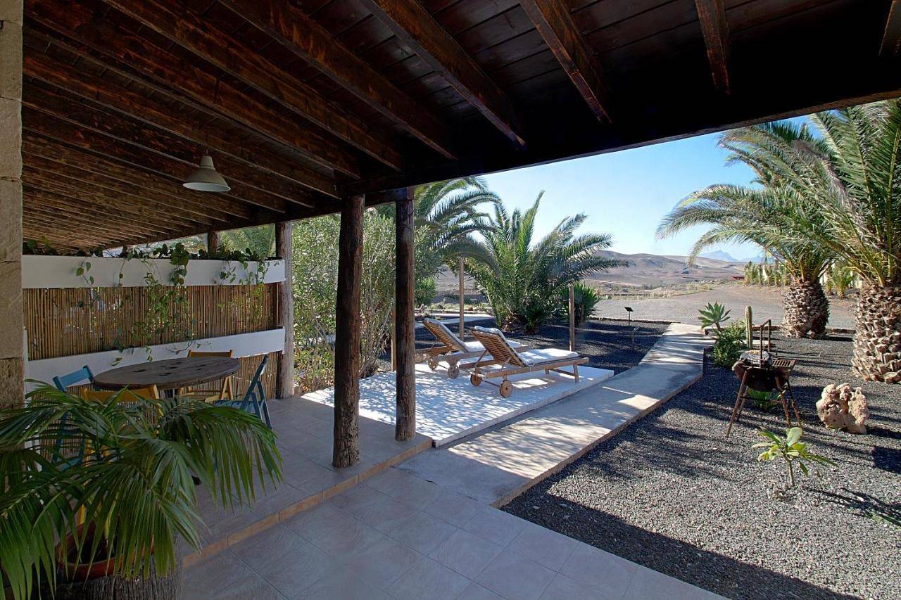 Finca Arbequina in La Pared, Pájara