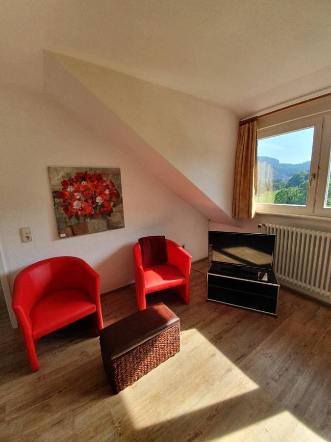 Hôtel pour 2 personnes, avec terrasse et jardin, animaux acceptés à Badenweiler - 2