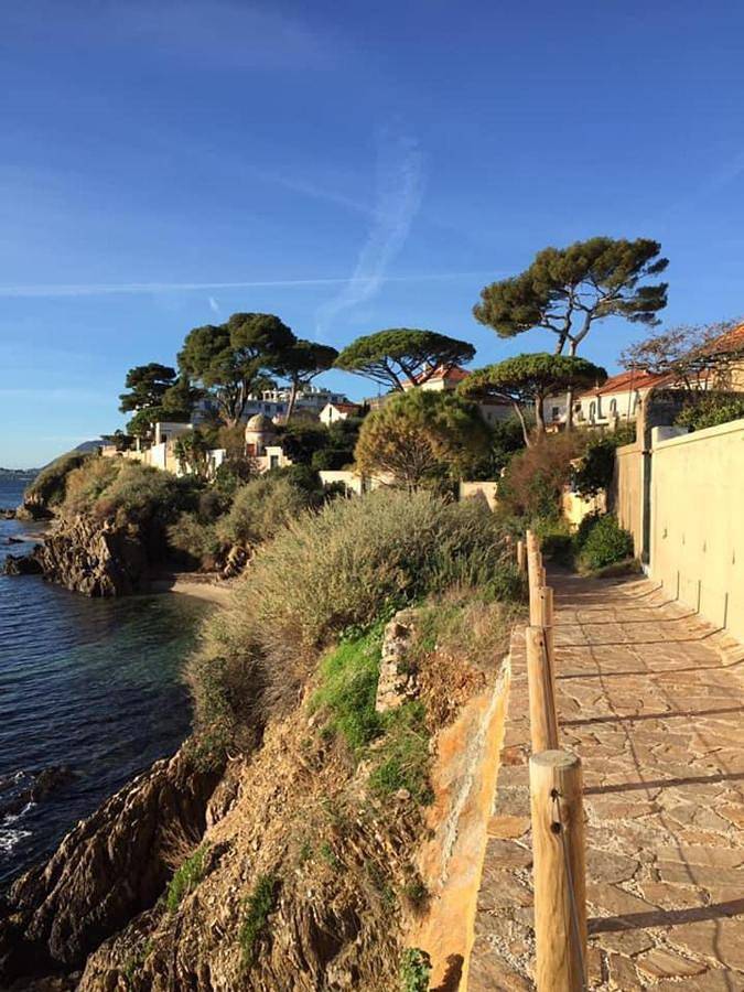 Villa pour 8 personnes, avec piscine ainsi que jardin et vue à Toulon - 4