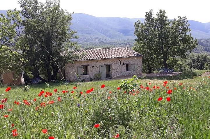 Location de vacances pour 5 personnes, avec jardin ainsi que terrasse et piscine à Saint-Martin-de-Castillon