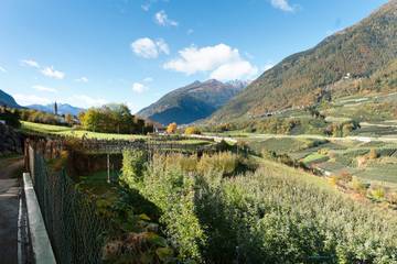 Stanza per 3 Persone in Cavizzana, Dolomiti di Brenta, Foto 4