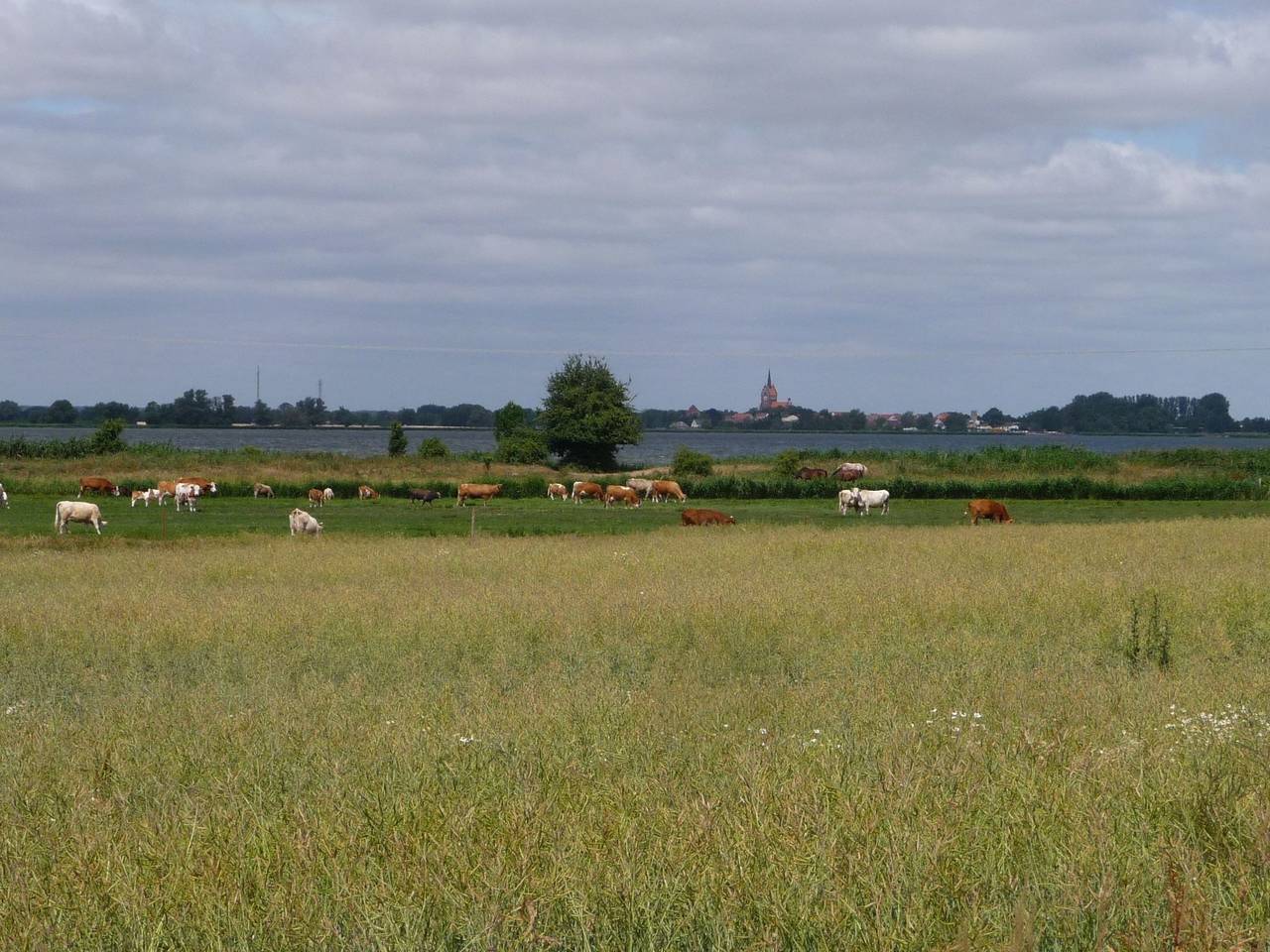 Feriengut Welzin in Welzin, Usedom Stadt