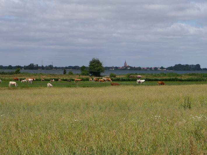 Ferienhaus für 8 Personen, mit Garten und Sauna auf Usedom - 2