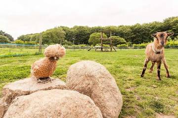 Camping voor 5 Personen in Saint-Michel-en-Grève, Côtes-d'Armor, Afbeelding 3