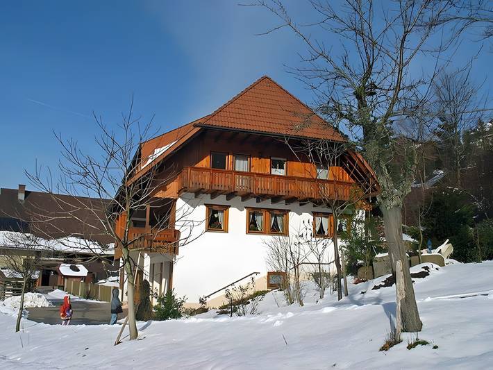 Ganze Wohnung, Ferienwohnung 'Wiesenblick' mit gemeinsamer Terrasse, Gemeinschaftsgarten und Wlan in Schramberg, Mittlerer Schwarzwald