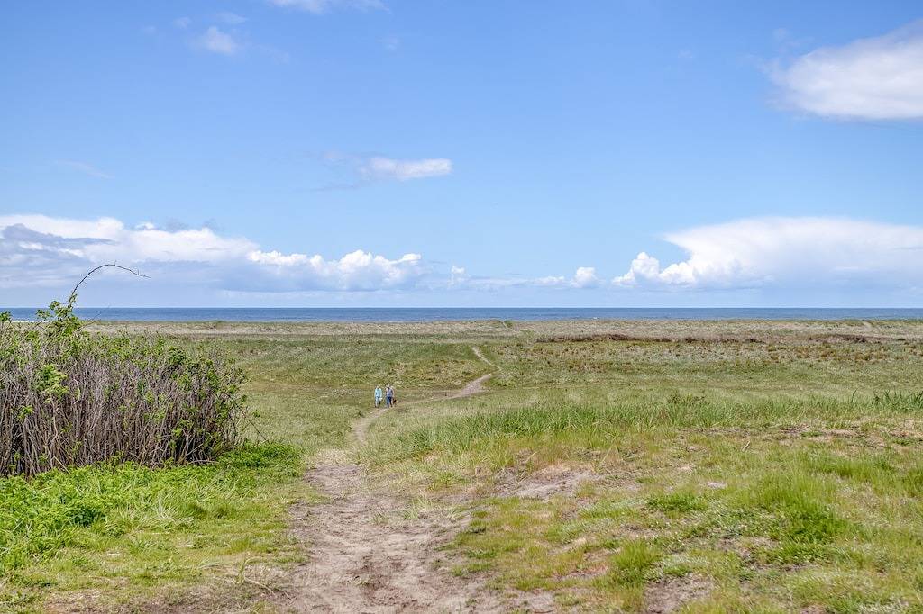 Modern 2 Bedroom in Heart of Downtown Gearhart, Two Blocks from Beach! in Gearhart, Clatsop County