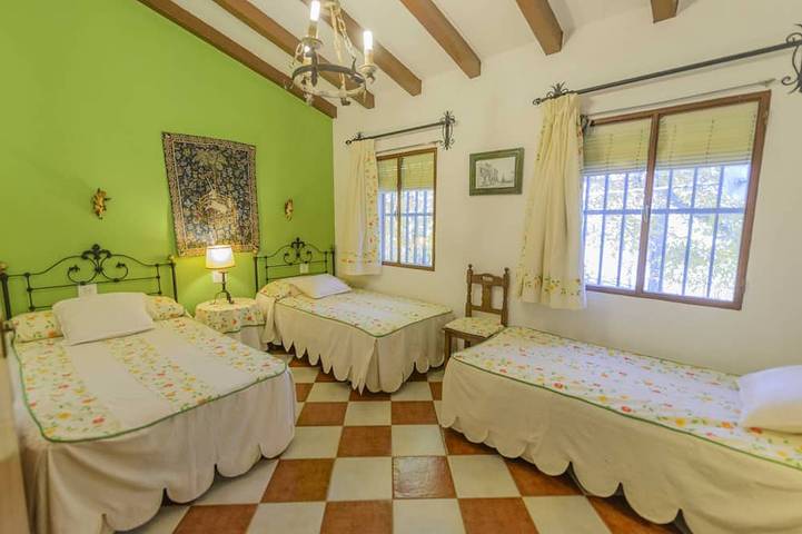 Gîte pour 17 personnes, avec jacuzzi et jardin, animaux acceptés à Carcabuey - 4