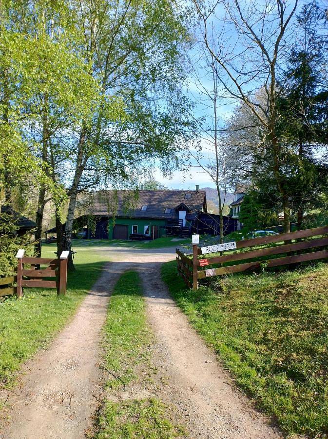 Cały apartament, Apartament Buczyna in Brenna, Karpaty (Polska)