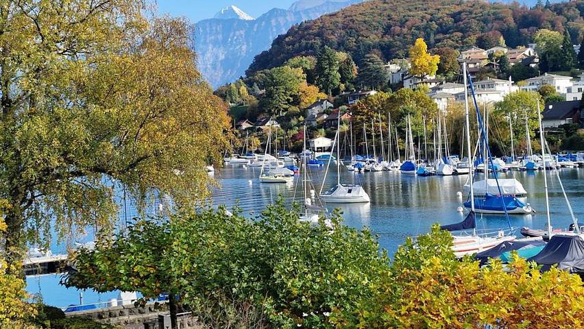Gîte pour 4 personnes, avec vue sur le lac ainsi que vue et balcon, animaux acceptés à Spiez - 3