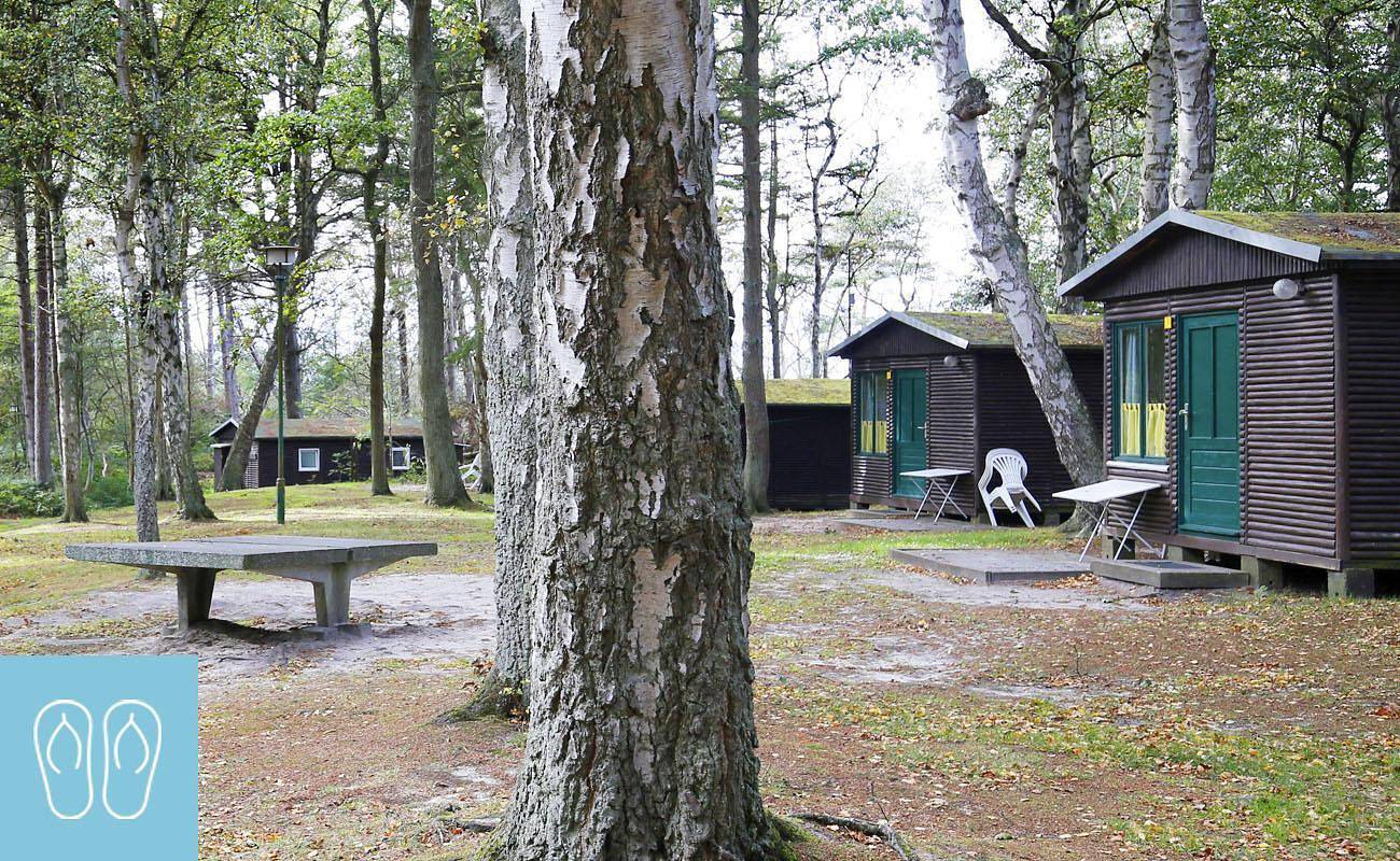 Bungalowdorf Meer oder Weniger - Kategorie 1 Nr. 2 in Bakenberg, Dranske