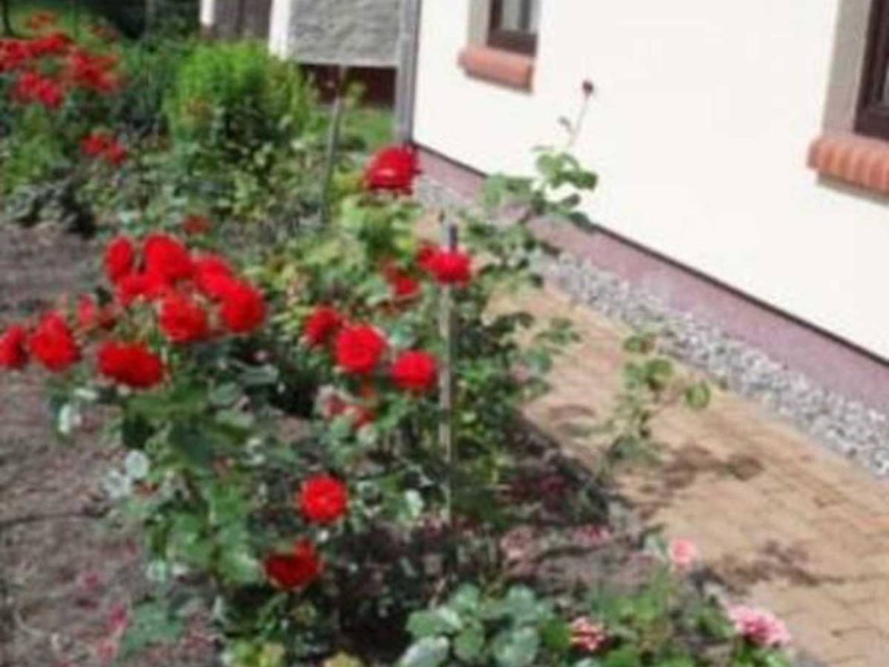 Doppelhaushälfte in idyllischer Lage, separater Eingang - Ferienwohnung in Güstrow - Umland, Mecklenburgische Seenplatte