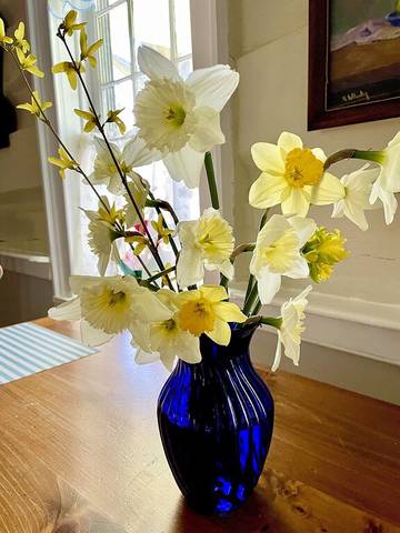 Vacation Home for 4 Guests in Maryland, USA, Picture 2