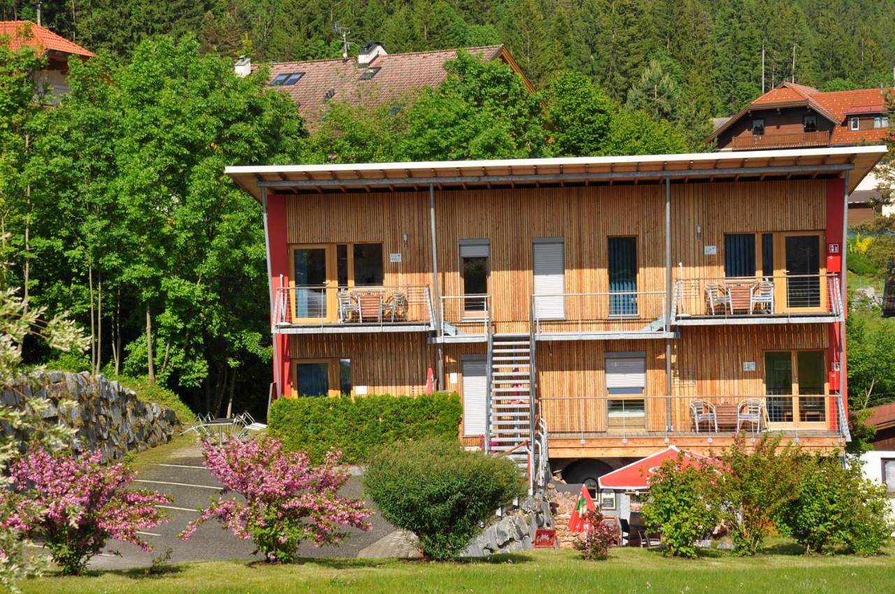 Ganze Wohnung, Himmelsbögen und Apartments mit Seeblick und Alleinlage in Oberdorf (Weissensee), Weissensee