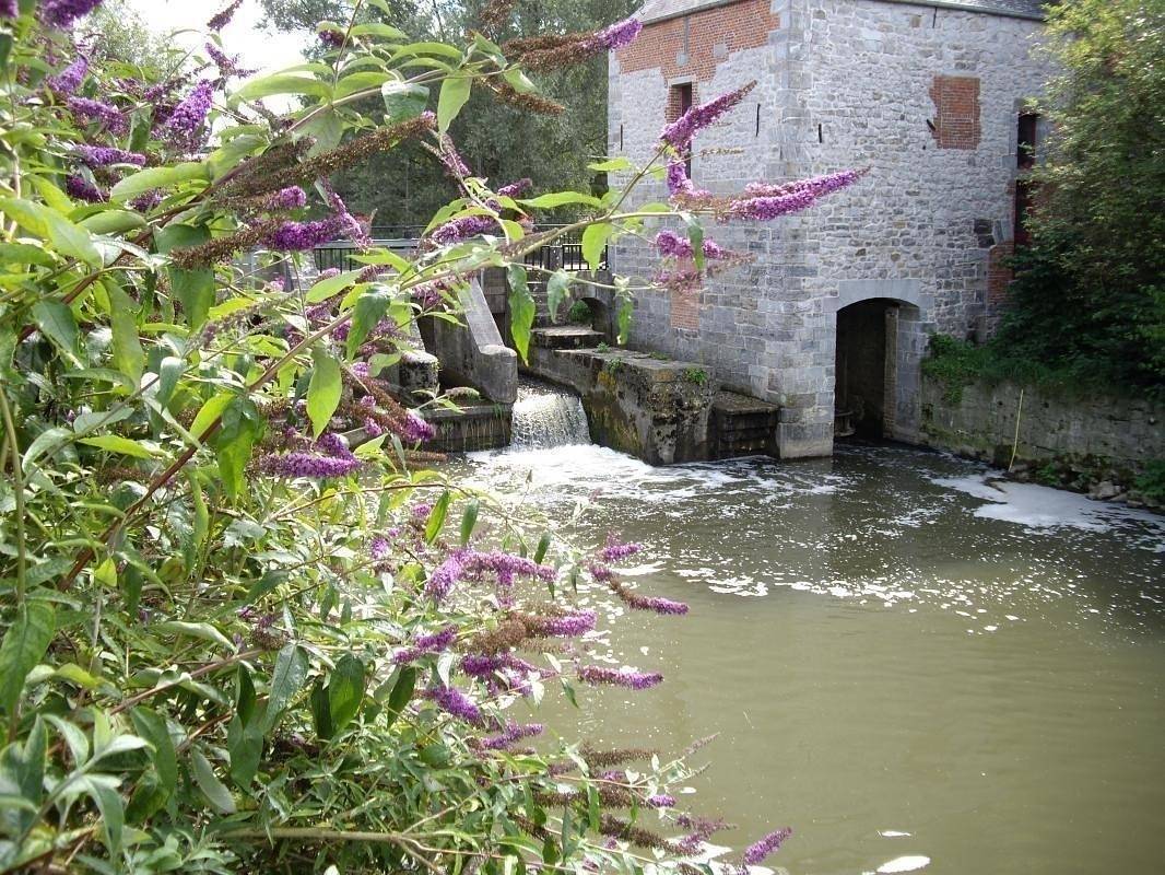 Ganze Ferienwohnung, Le moulin in Étrœungt, Avesnes-sur-Helpe