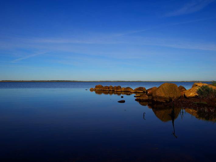 Ferienhaus für 4 Personen, mit Terrasse, mit Haustier in Bork Havn - 4