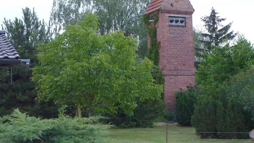 Ferienhaus für 4 Personen, mit Garten, mit Haustier in Neuruppin - 2