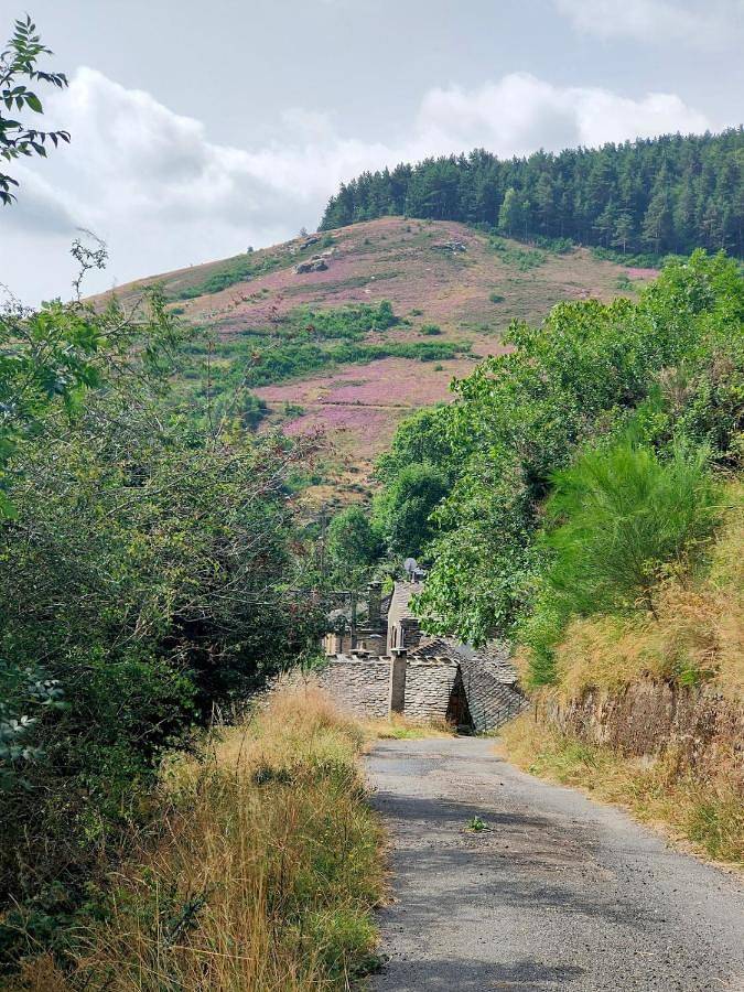 Location de vacances pour 5 personnes, avec terrasse et vue, animaux acceptés à Barre-des-Cévennes - 3