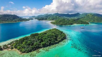 Chambre d’hôte pour 4 personnes, avec jardin dans Huahine