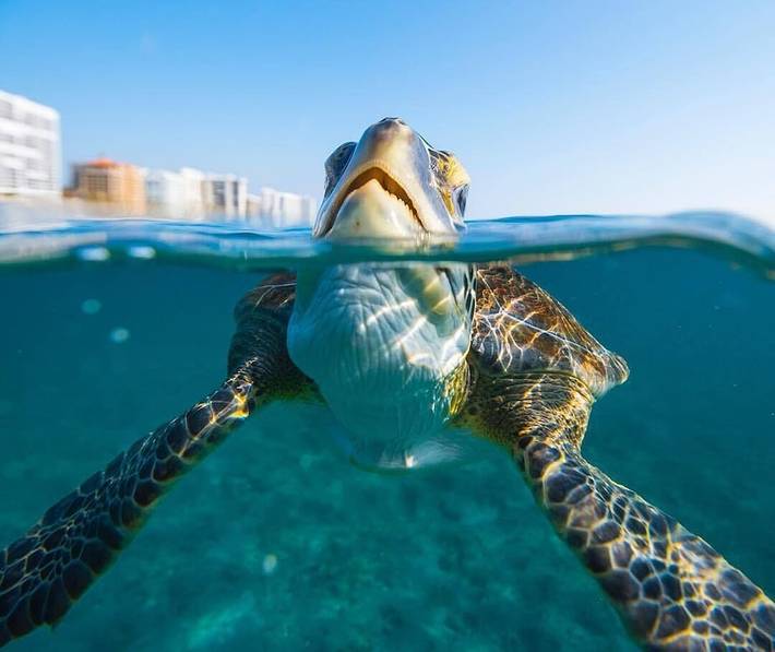 Vacation rental for 8 people, with yard in North Palm Beach