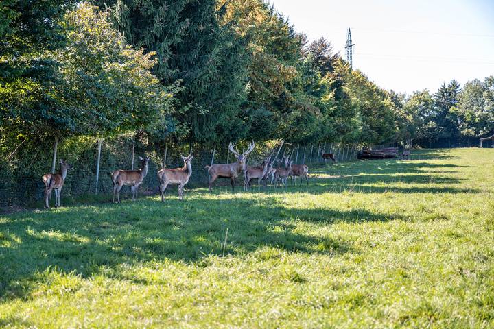 Ferienwohnung für 3 Personen, mit Balkon im Berchtesgadener Land - 2