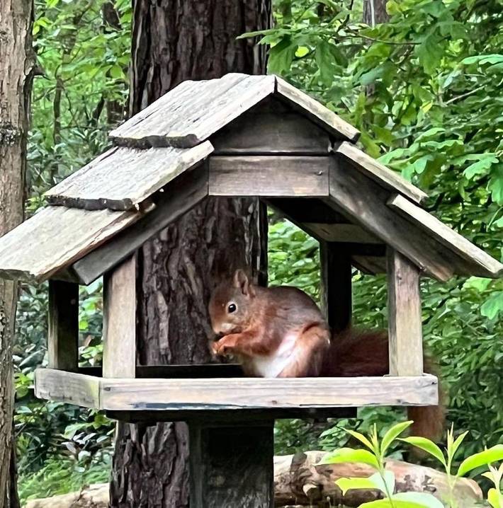 Location de vacances pour 4 personnes, avec vue et jardin à Lille (Belgique) - 2
