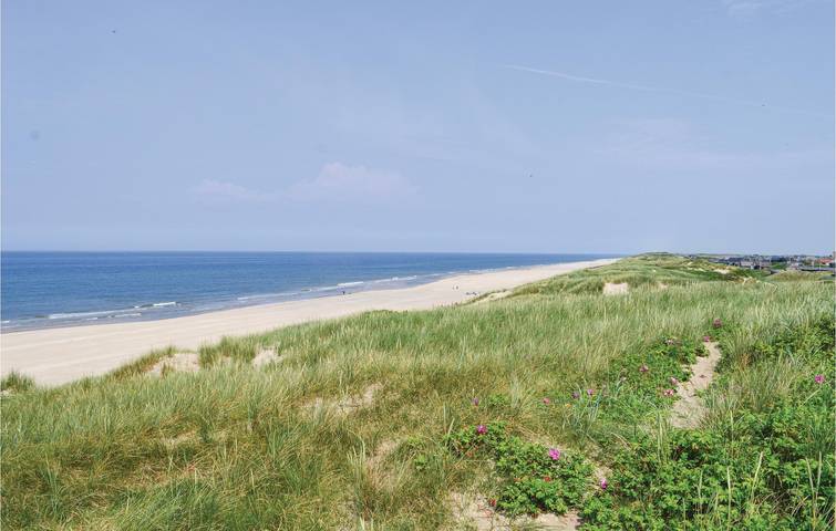 Ferienhaus für 4 Personen, mit Terrasse, mit Haustier in Holmsland Klit - 4