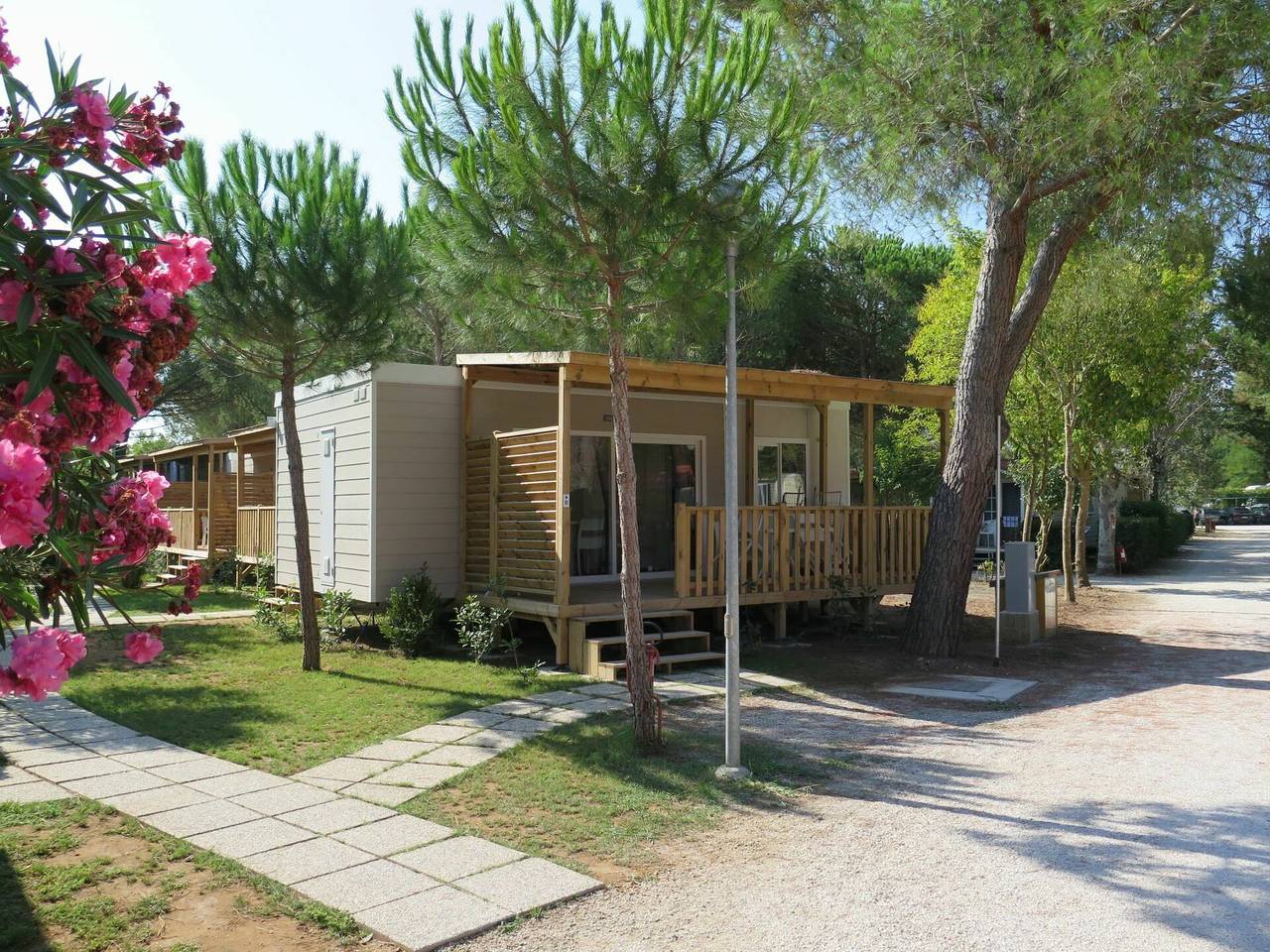 Marina di Bibbona 618 - Campeggio del Forte 618.8 in Marina di Bibbona, Bibbona