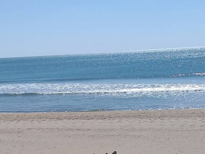 Appartement de vacances pour 5 personnes, avec terrasse, animaux acceptés à Marseillan