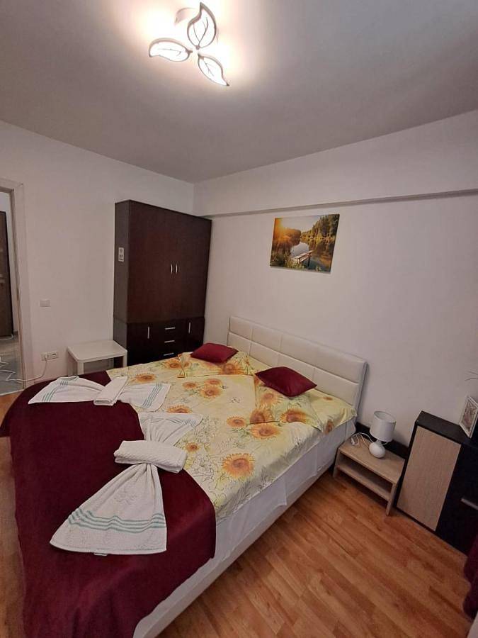 Gîte pour 2 personnes, avec terrasse et vue, animaux acceptés à Sinaia - 4
