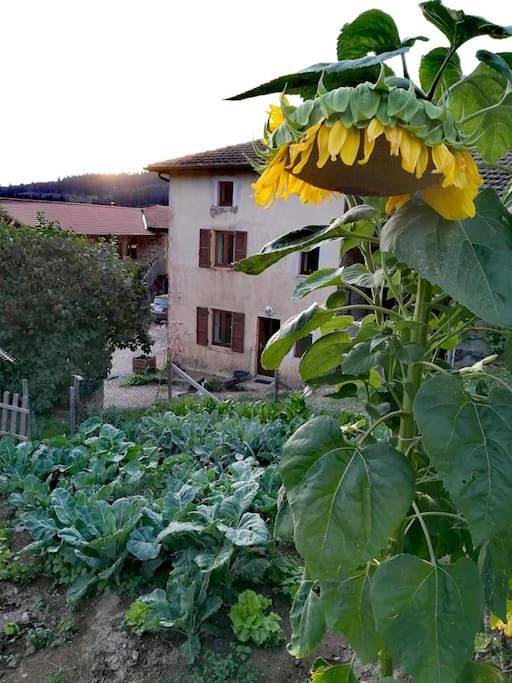 Location de vacances pour 6 personnes, avec jardin et vue à Poule-les-Écharmeaux