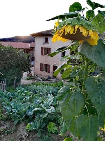 Gîte pour 6 personnes, avec vue et jardin à Poule-les-Écharmeaux