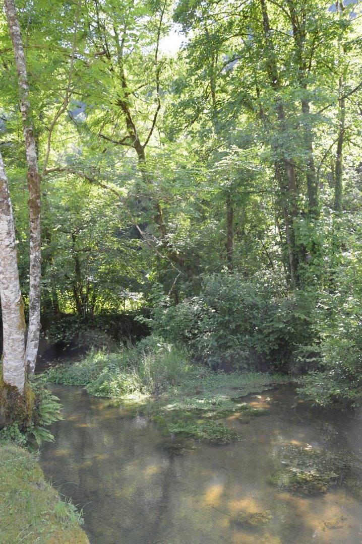 Moulin de la Cuse, entre cours d'eau et verdure - La Cuse in Cusance, Jura Francais