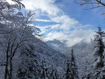 Ferienwohnung für 4 Personen in Kreuth, Alpenland Tegernsee Schliersee, Bild 1