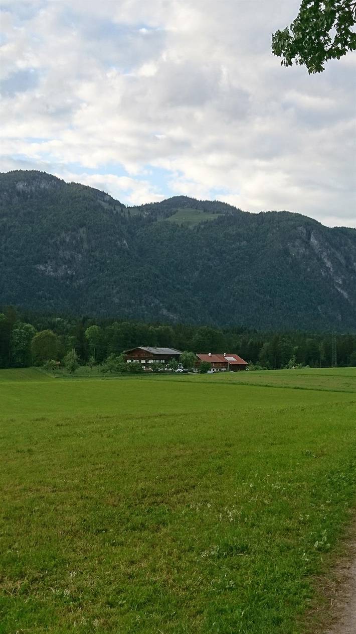 Ferienwohnung für 6 Personen, mit Garten und Ausblick in den Kitzbüheler Alpen - 2