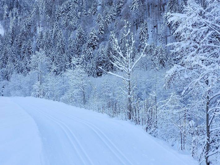 Ferienwohnung für 2 Personen, mit Garten, kinderfreundlich im Bregenzerwald - 3