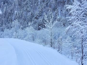 Ferienwohnung für 4 Personen in Schoppernau, Allgäuer Alpen (Österreich), Bild 2