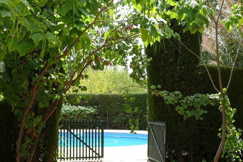 Casa en el campo con encanto in Almansa, Provincia de Albacete